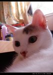 DSC001101