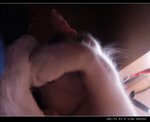 DSC001181