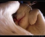 DSC001201