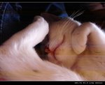 DSC001211
