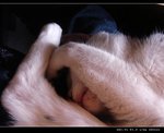 DSC001231