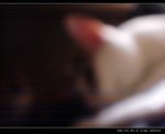 DSC001241