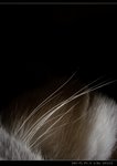 DSC001331