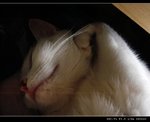 DSC001351