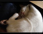 DSC001401