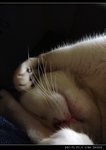 DSC001451