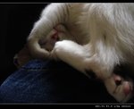DSC001481