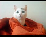 DSC009841