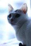 IMG_31202