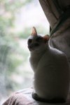 IMG_31472