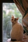 IMG_31833