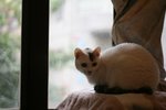 IMG_32022