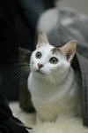 IMG_32522