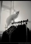 DSC044141