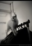 DSC044201