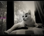 DSC045421