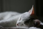 IMG_0746