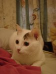 DSC06238