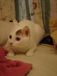 DSC06244