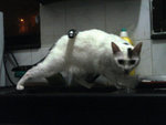 DSC06307