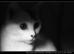 IMG_6995