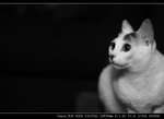 IMG_7038