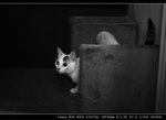 IMG_7041