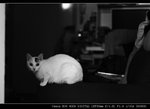 IMG_7052