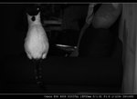IMG_7055