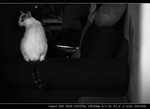 IMG_7056