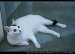 IMG_7064