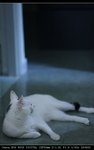IMG_7065