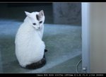 IMG_7075