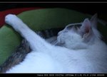 IMG_7081