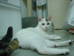 DSC08238