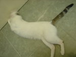 DSC08246