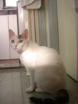 DSC08401