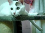 DSC08426