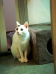 DSC08481