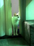 DSC08484