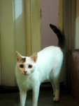 DSC08485