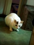 DSC08486