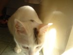 DSC08628