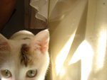 DSC08630