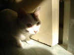 DSC08631