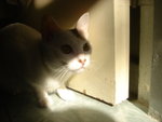 DSC08632