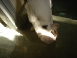 DSC08633
