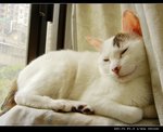 DSC066391
