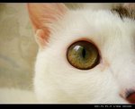 DSC066591