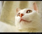 DSC066631